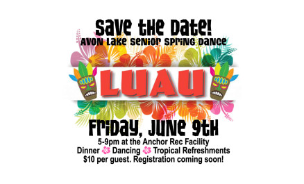 Avon Lake Senior Spring Dance