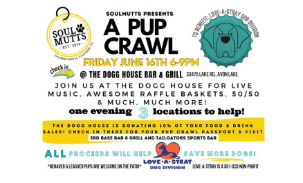 Love-A-Stray "A Pup Crawl"