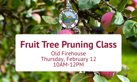 Fruit Tree Pruning Class