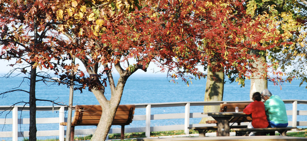 Veterans Park Picnic