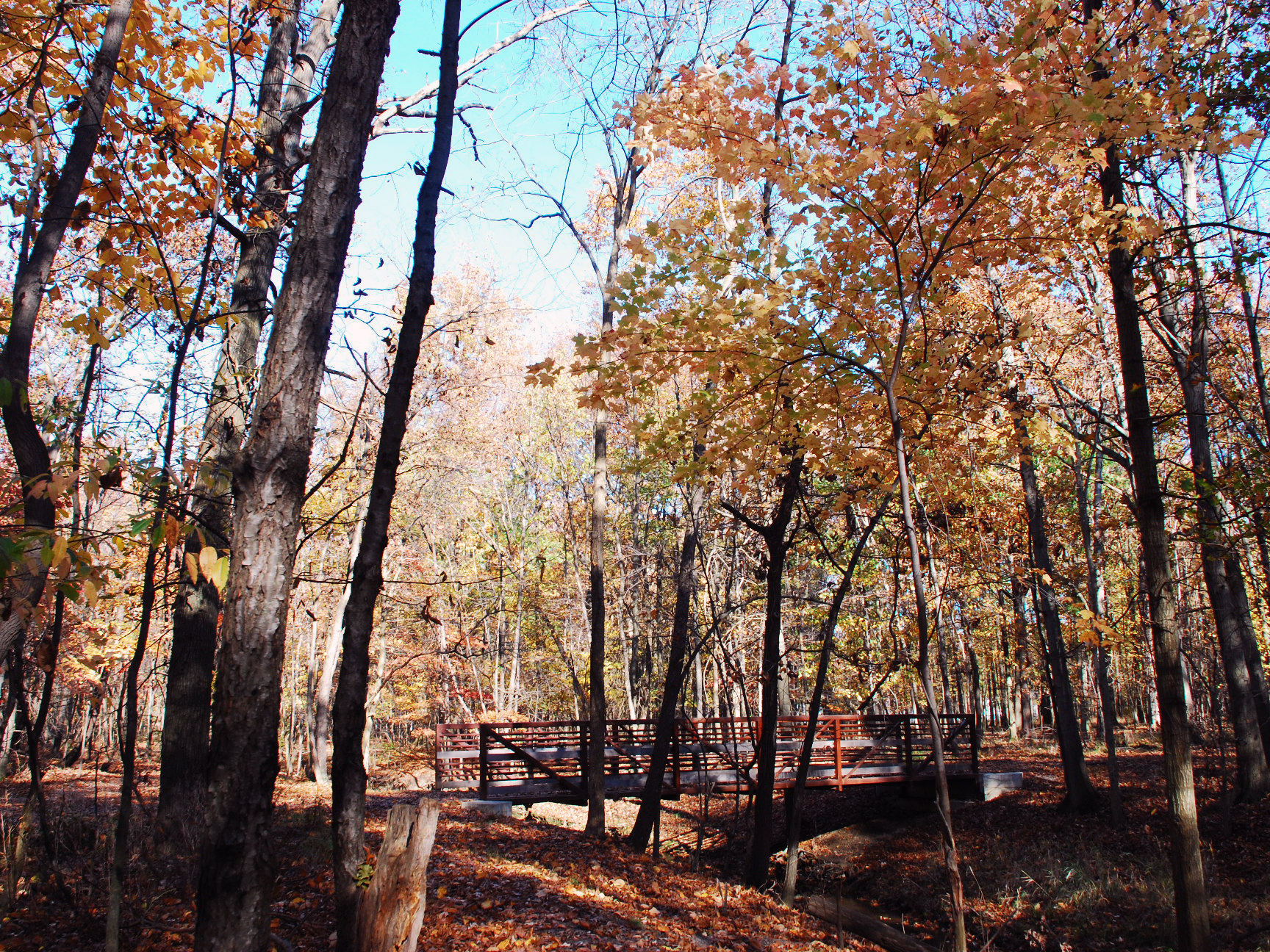 Kopf Family Park